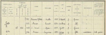 How to use French census records