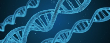 DNA testing in France